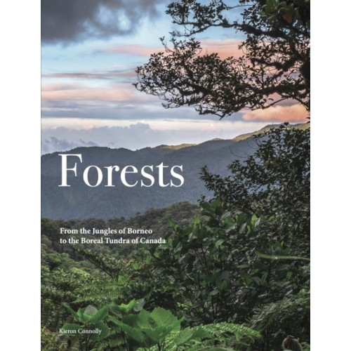 Amber Books Ltd Forests (inbunden, eng)