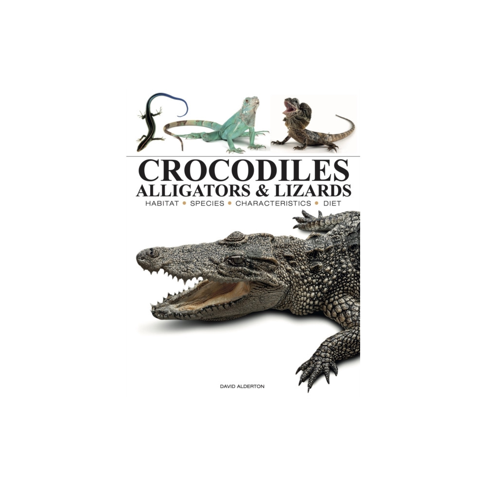 Produktbild för Crocodiles, Alligators & Lizards (häftad, eng)
