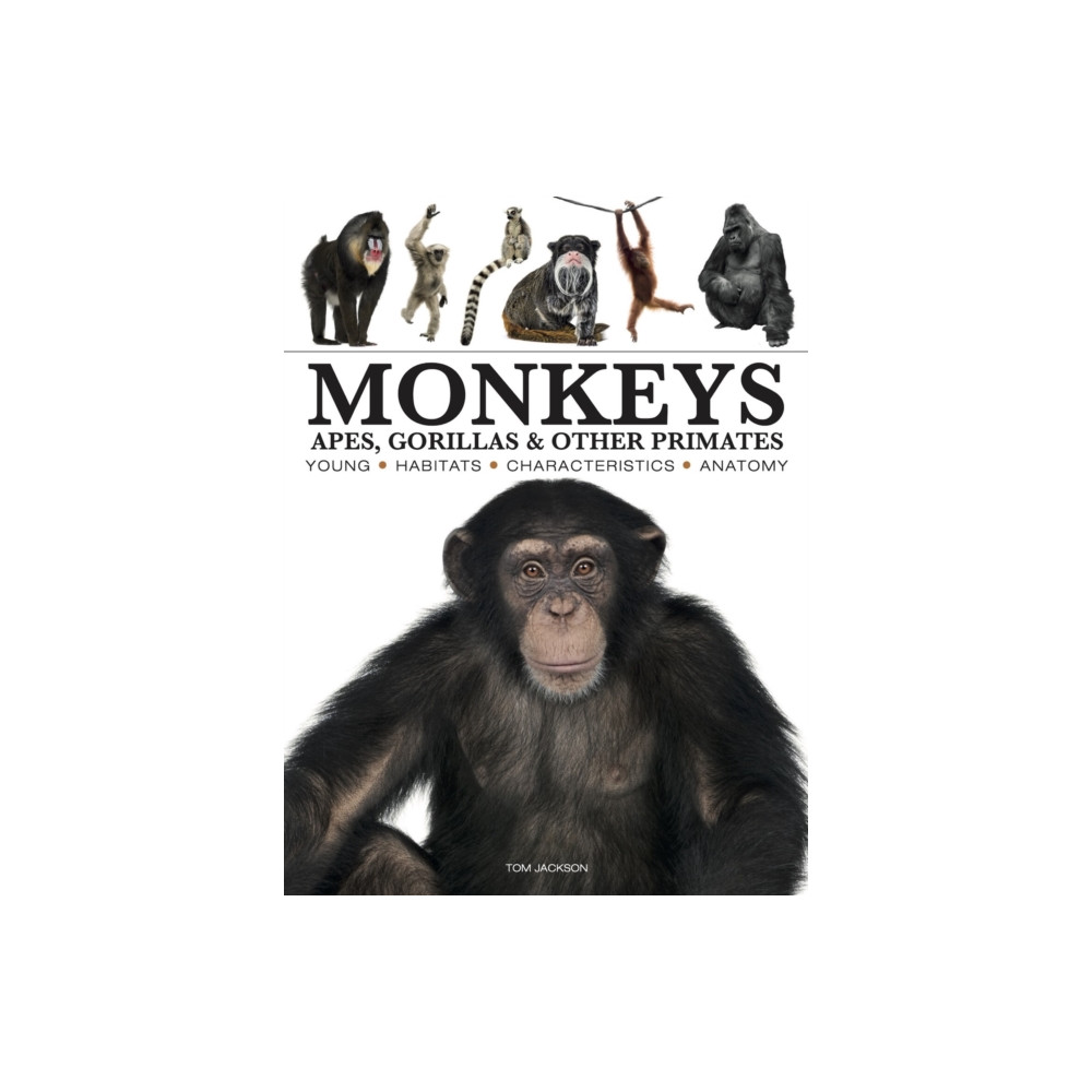 Produktbild för Monkeys (häftad, eng)