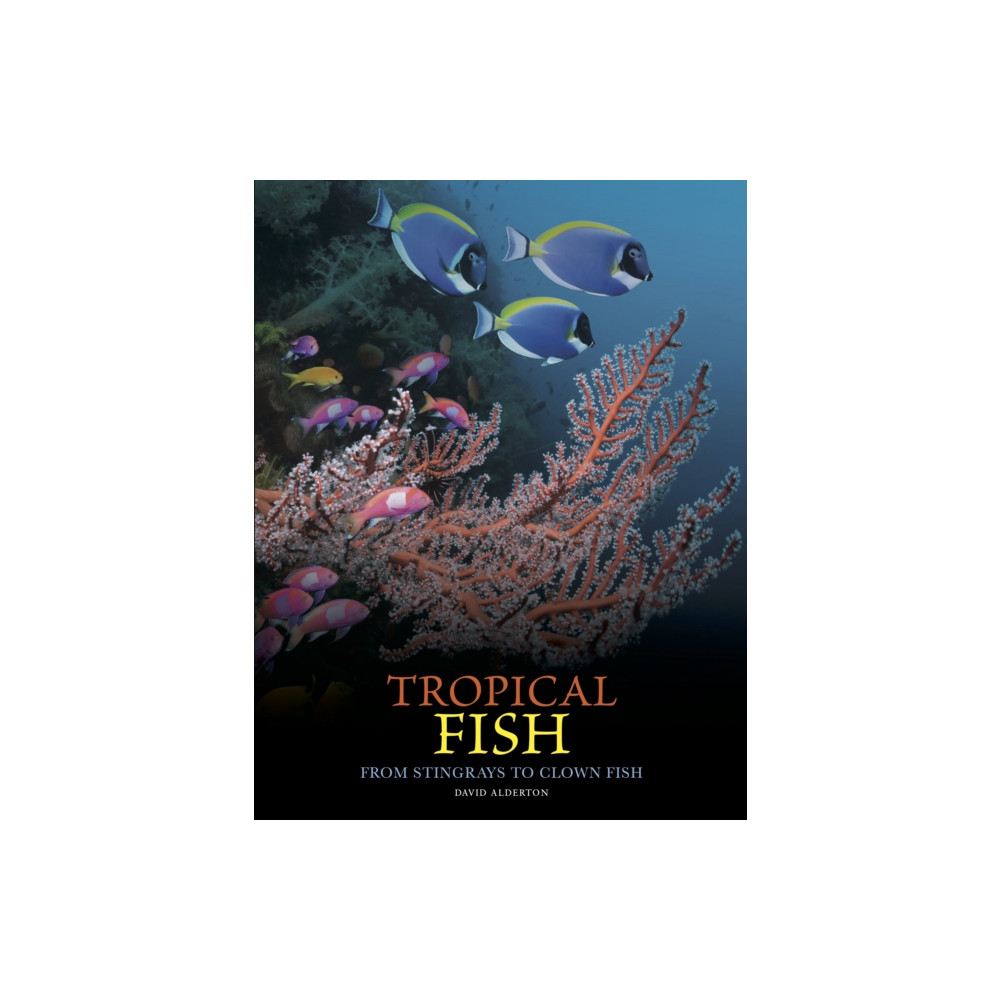 Produktbild för Tropical Fish (inbunden, eng)