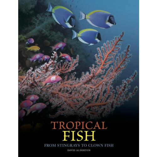 Amber Books Ltd Tropical Fish (inbunden, eng)
