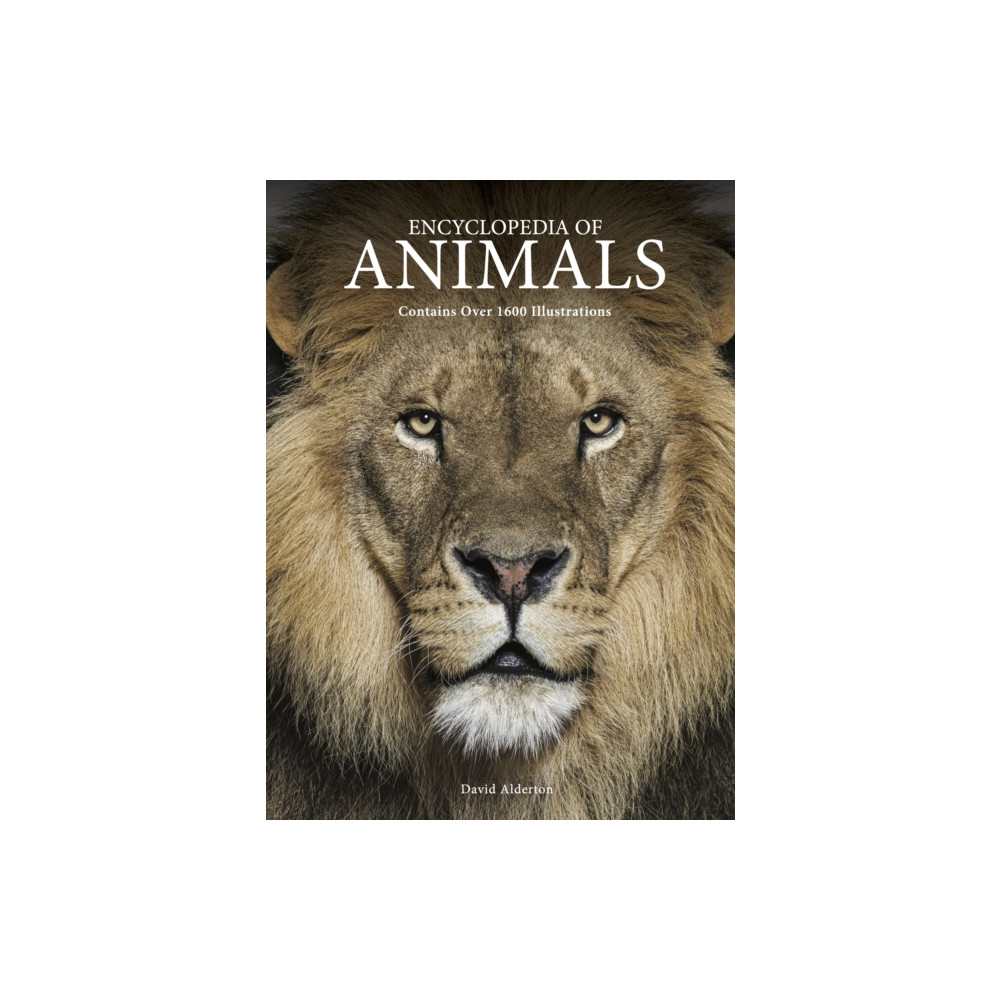 Produktbild för Encyclopedia of Animals (inbunden, eng)