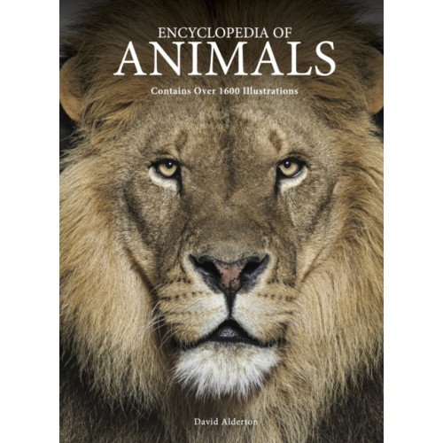 Amber Books Ltd Encyclopedia of Animals (inbunden, eng)