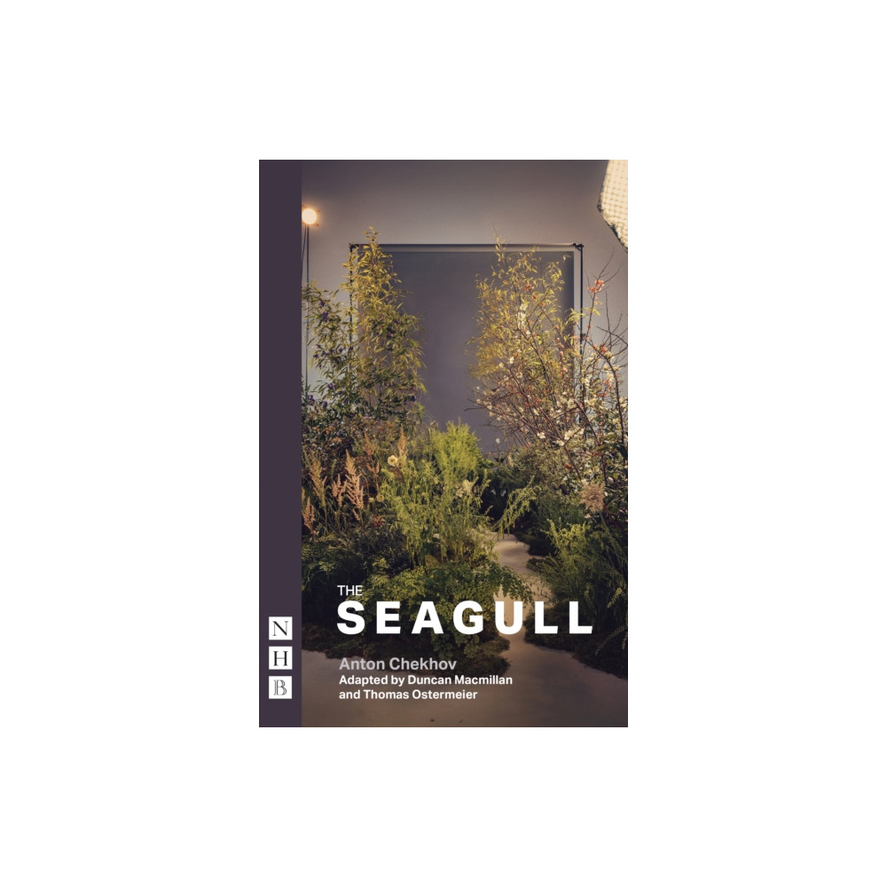 Produktbild för The Seagull (häftad, eng)