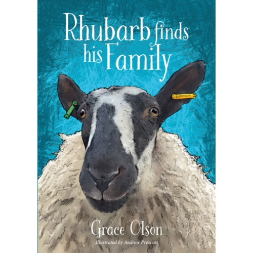 Brown Dog Books Rhubarb Finds His Family (häftad, eng)