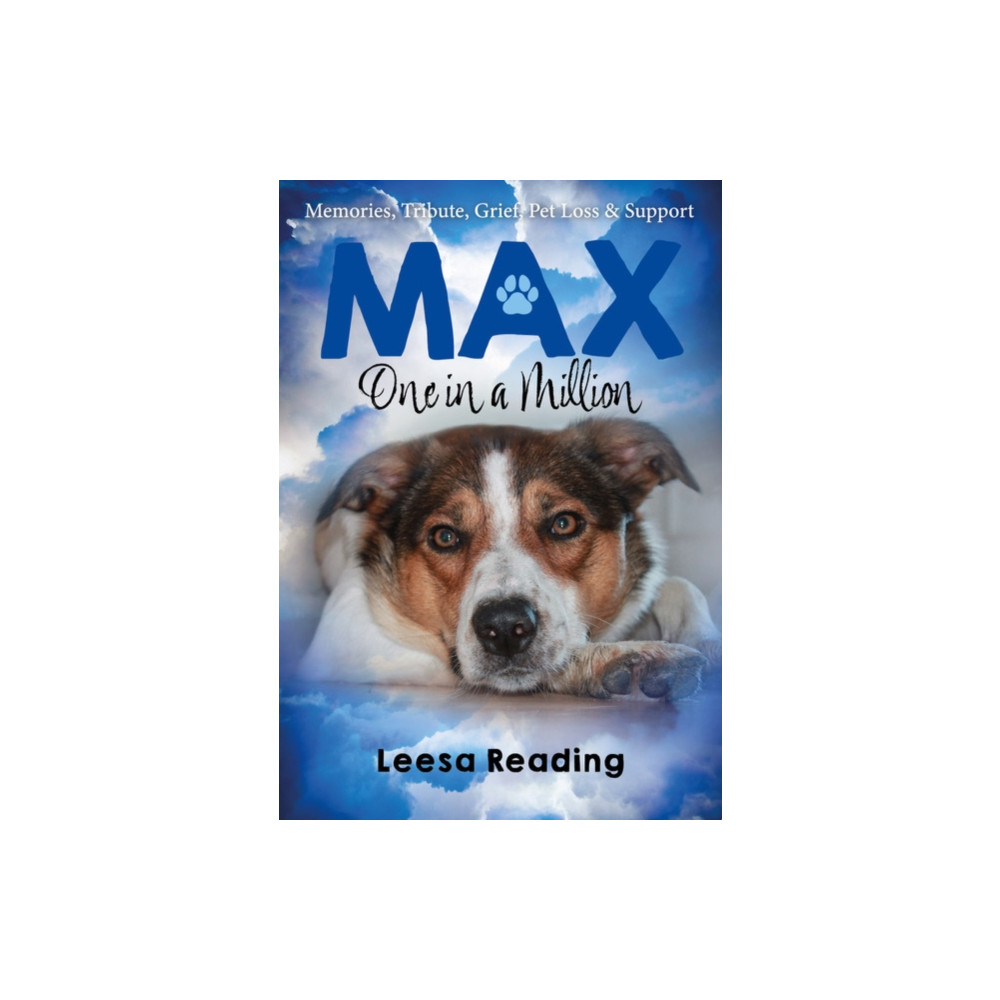 Produktbild för Max: One in a Million (häftad, eng)
