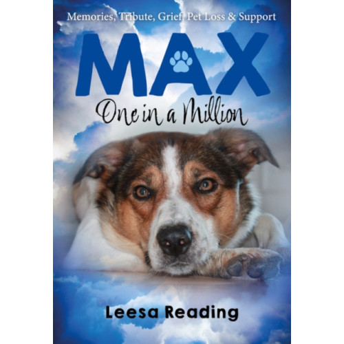 Brown Dog Books Max: One in a Million (häftad, eng)
