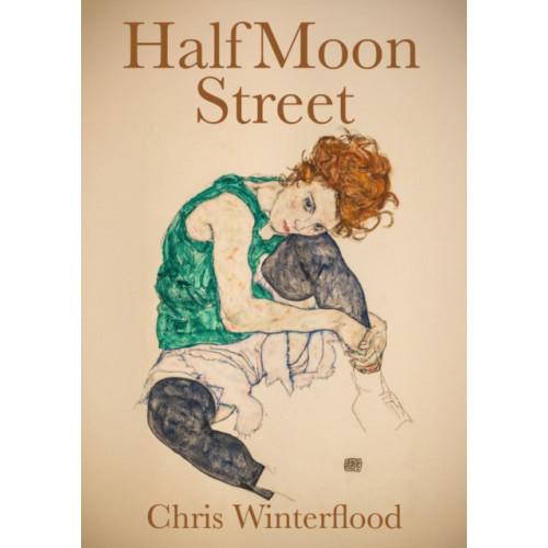 Brown Dog Books Half Moon Street (häftad, eng)