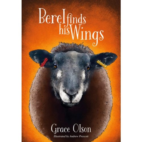 Brown Dog Books Berel Finds His Wings (häftad, eng)