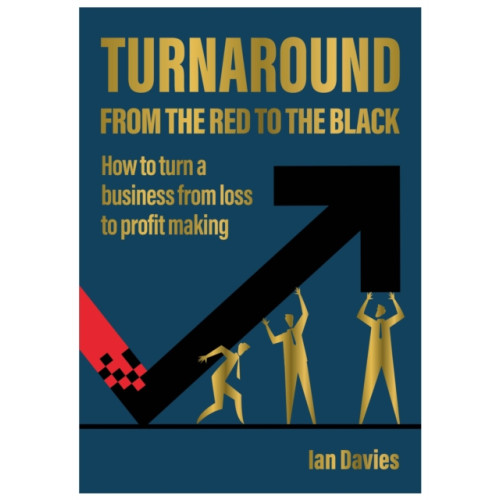 Brown Dog Books Turnaround (häftad, eng)