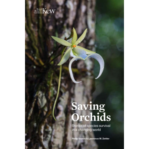 Royal Botanic Gardens Saving Orchids (inbunden, eng)