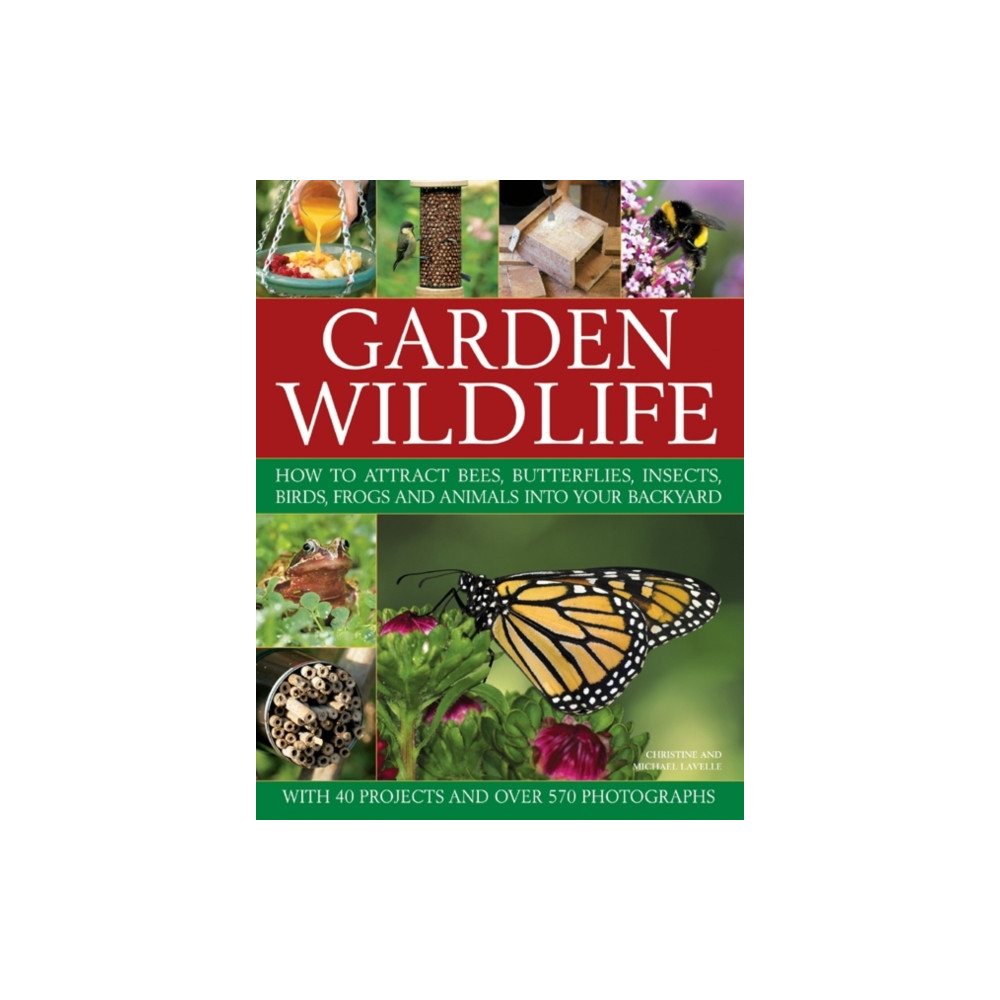 Produktbild för Garden Wildlife (häftad, eng)