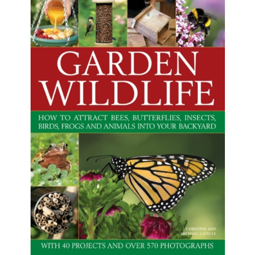 Anness publishing Garden Wildlife (häftad, eng)