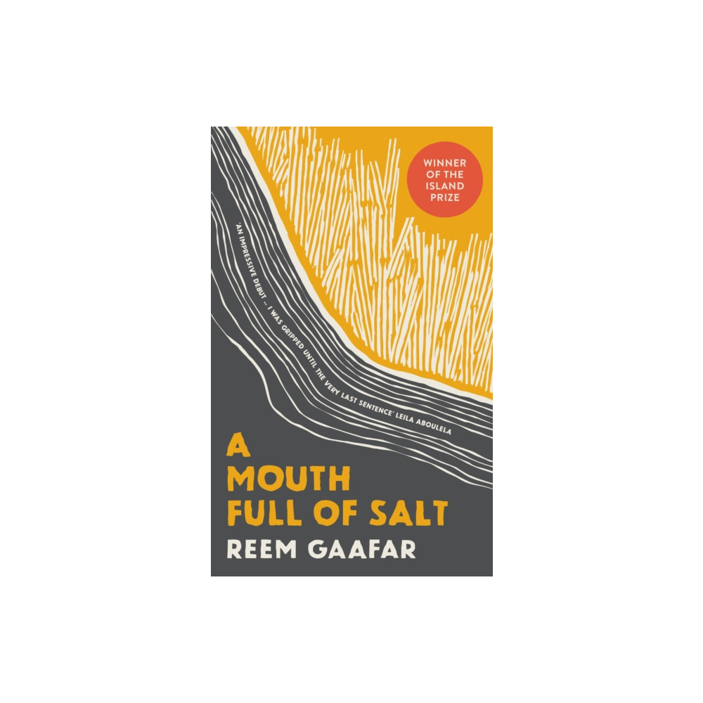 Produktbild för A Mouth Full of Salt (häftad, eng)