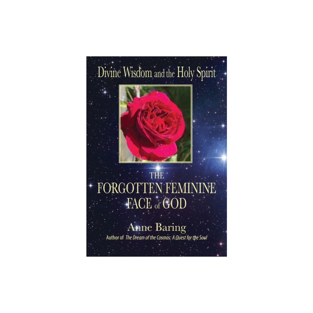 Produktbild för Divine Wisdom and the Holy Spirit: (häftad, eng)