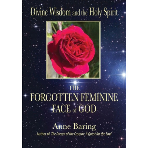 Archive Publishing Divine Wisdom and the Holy Spirit: (häftad, eng)