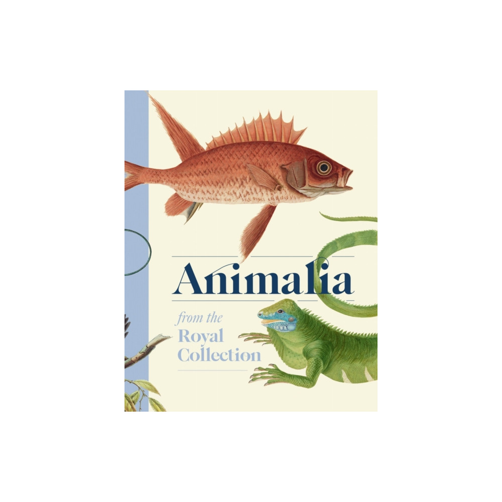 Produktbild för Animalia (inbunden, eng)