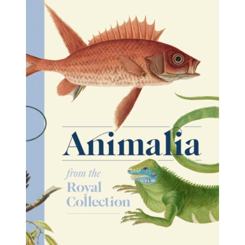 Royal Collection Trust Animalia (inbunden, eng)