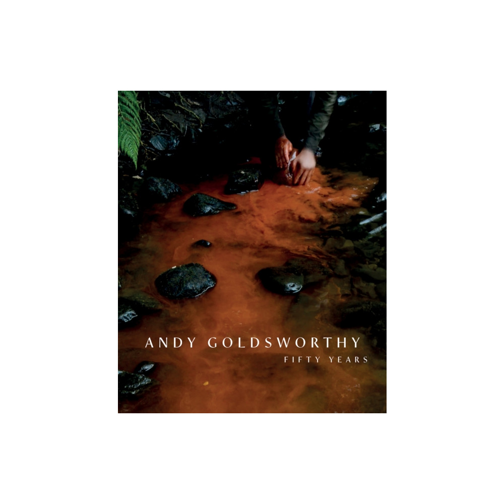 Produktbild för Andy Goldsworthy (häftad, eng)