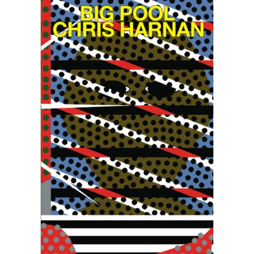 Breakdown Press Ltd Big Pool (häftad, eng)