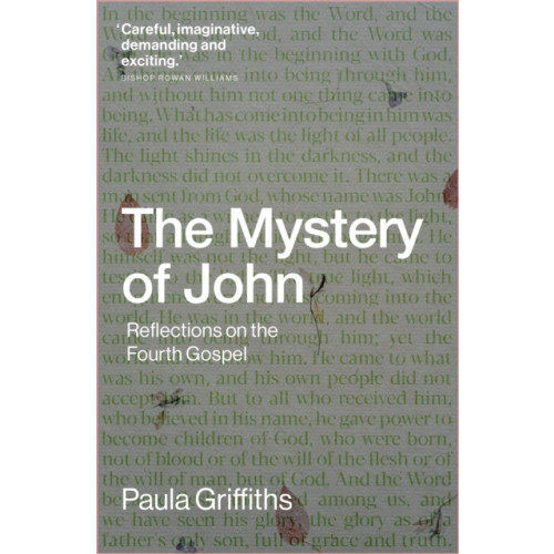 Instant apostle The Mystery of John (häftad, eng)
