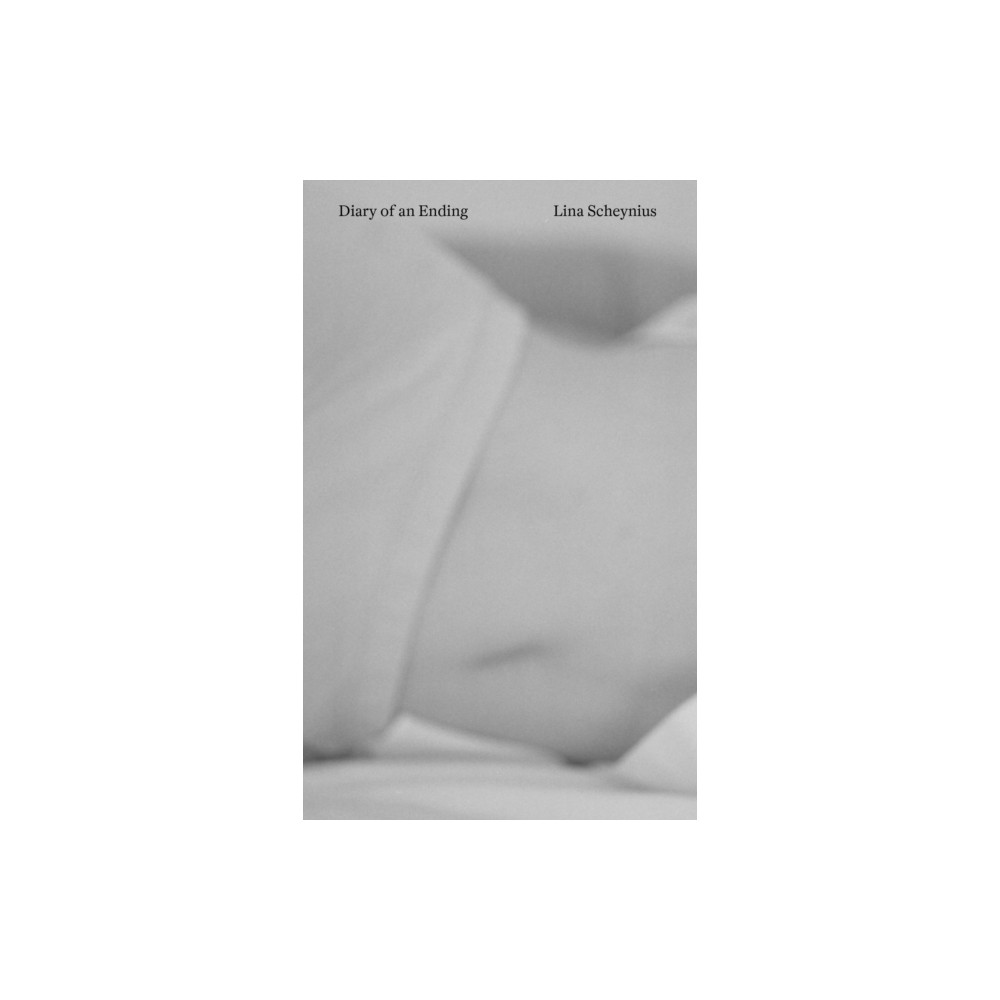 Produktbild för Diary of an Ending (häftad, eng)