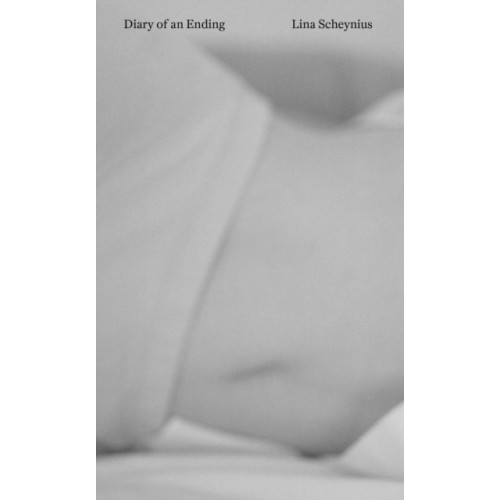 Prototype Publishing Ltd. Diary of an Ending (häftad, eng)