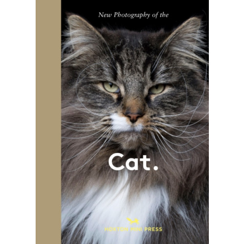 Hoxton Mini Press New Photography of the Cat. (inbunden, eng)