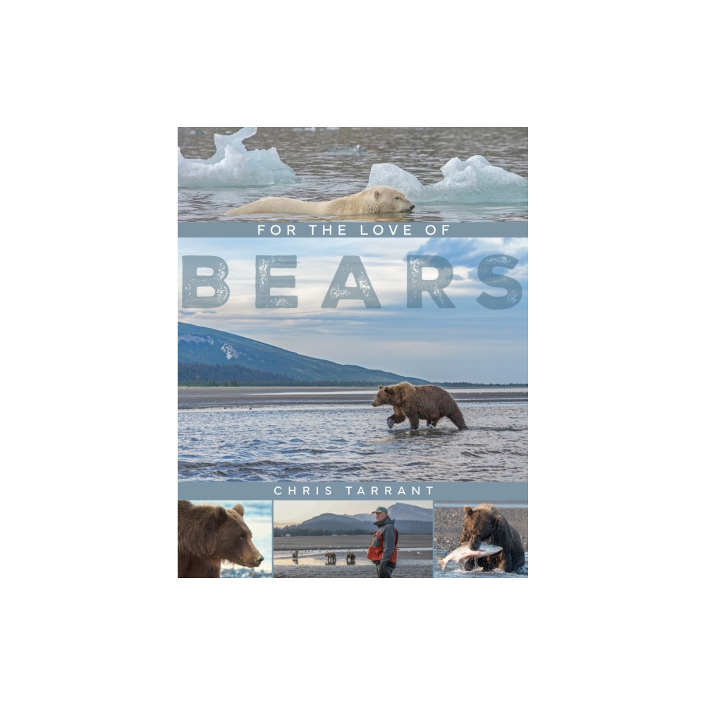 Produktbild för For The Love Of Bears (inbunden, eng)