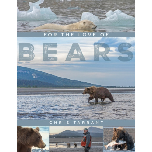 Great Northern Books Ltd For The Love Of Bears (inbunden, eng)