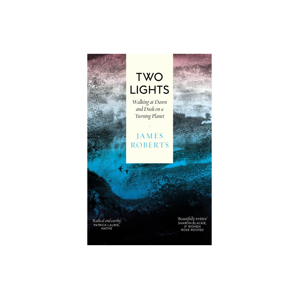 Produktbild för Two Lights (häftad, eng)