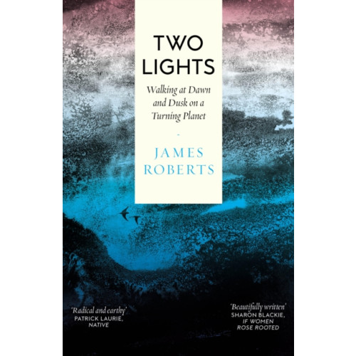 Duckworth Books Two Lights (häftad, eng)