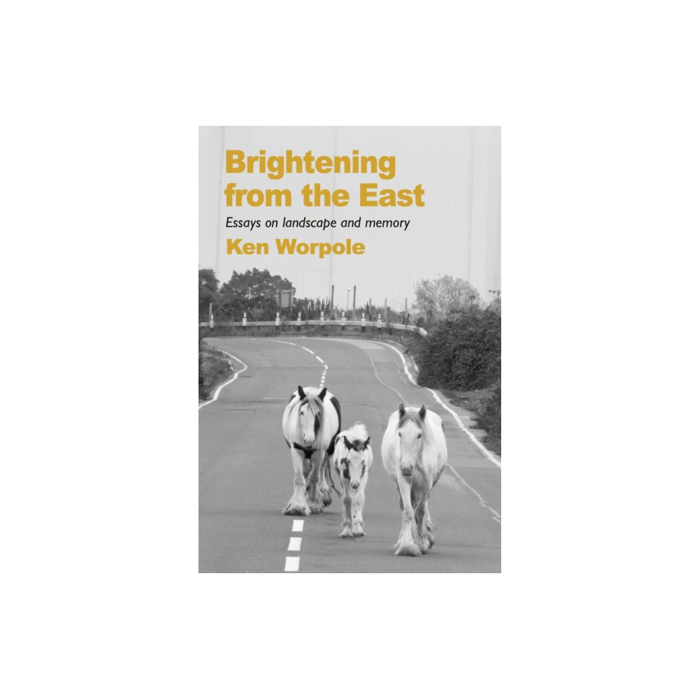 Produktbild för Brightening from the East (häftad, eng)