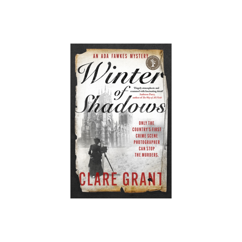 Produktbild för Winter of Shadows (häftad, eng)