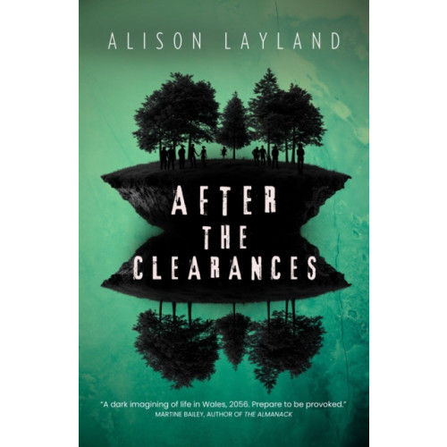Honno Ltd After The Clearances (häftad, eng)