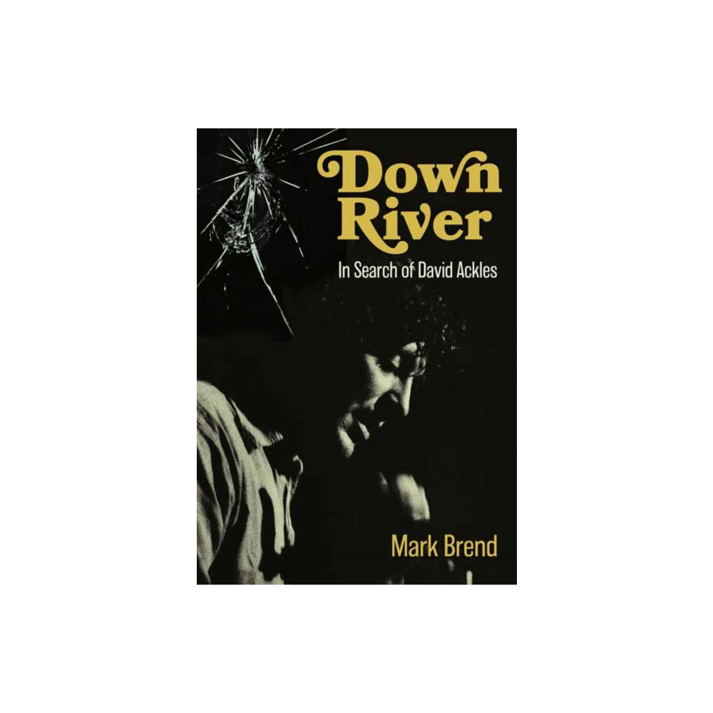 Produktbild för Down River (häftad, eng)
