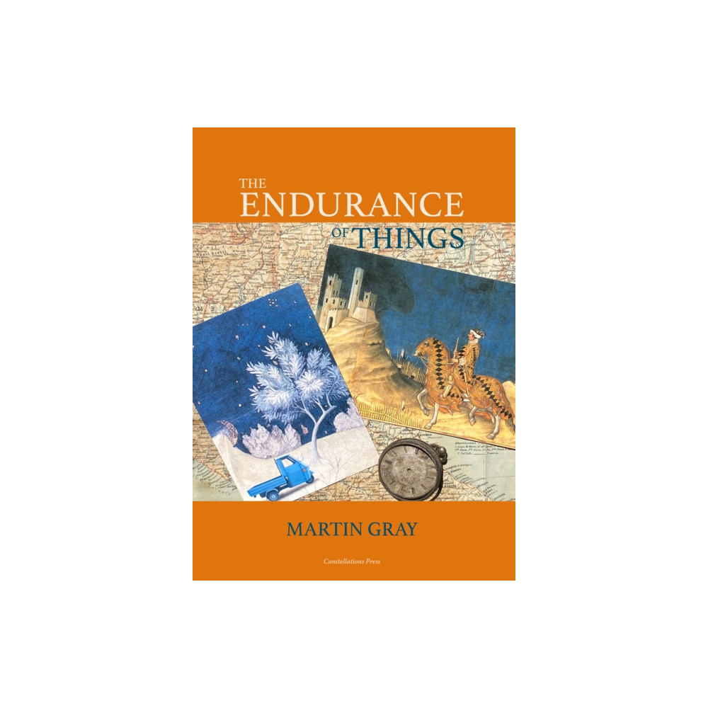 Produktbild för The Endurance of Things (inbunden, eng)
