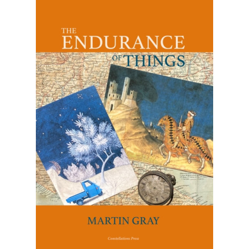 Not Stated The Endurance of Things (inbunden, eng)