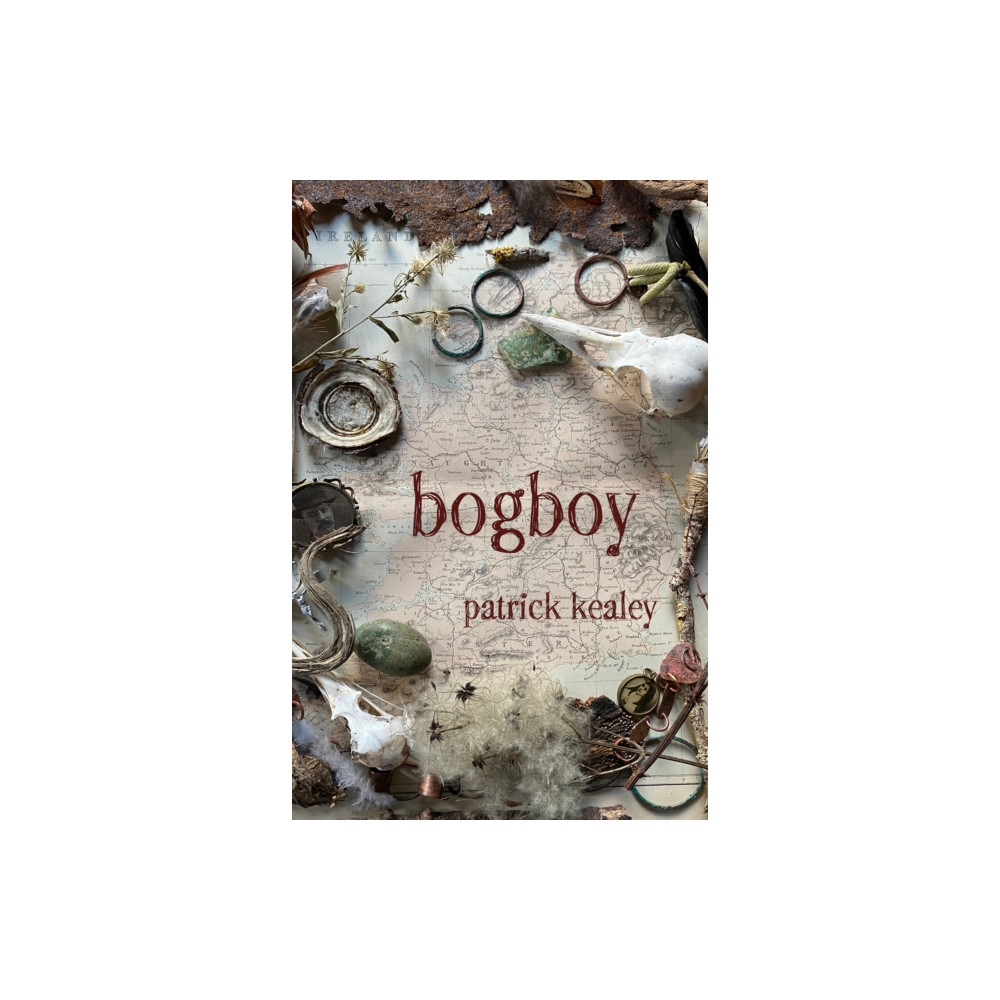 Produktbild för Bogboy (häftad, eng)