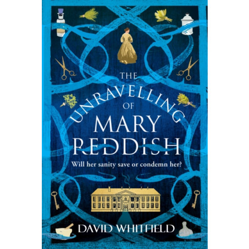 Legend Press Ltd The Unravelling of Mary Reddish (häftad, eng)