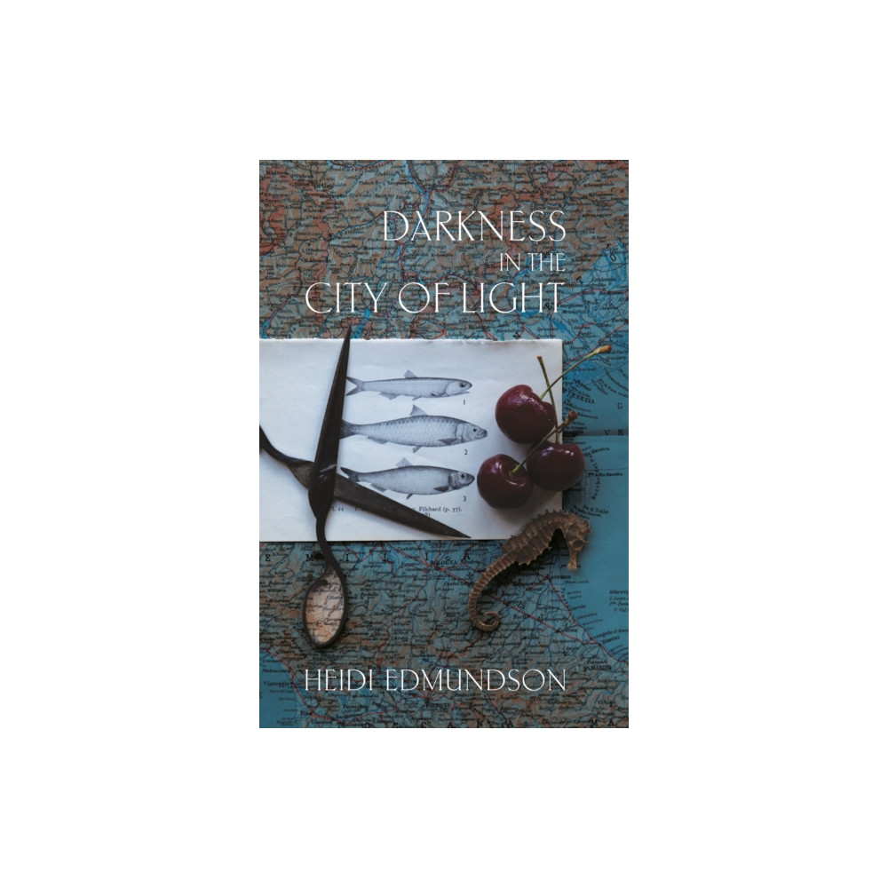 Produktbild för Darkness in the City of Light (häftad, eng)