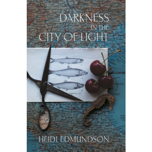 Not Stated Darkness in the City of Light (häftad, eng)