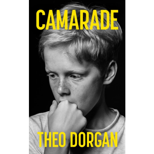 The Mercier Press Camarade (häftad, eng)