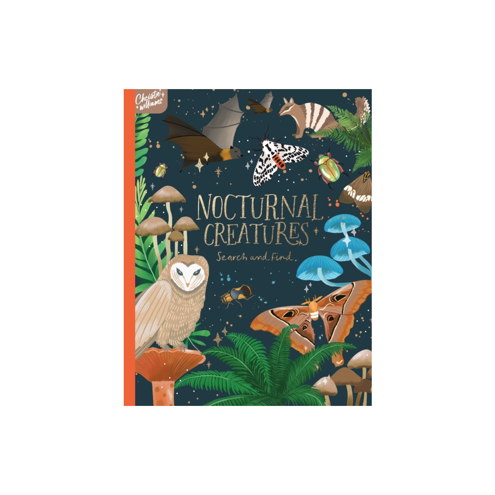 Produktbild för Nocturnal Creatures Search and Find (inbunden, eng)
