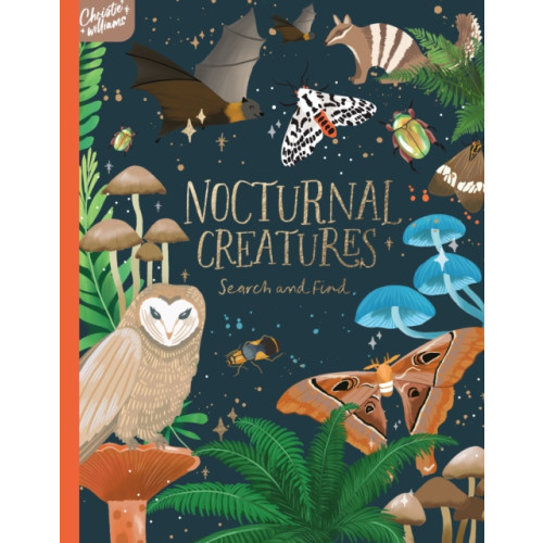 Five Mile Nocturnal Creatures Search and Find (inbunden, eng)