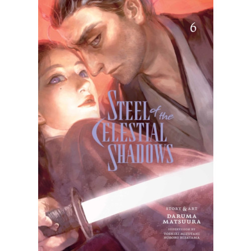 Viz Media, Subs. of Shogakukan Inc Steel of the Celestial Shadows, Vol. 6 (häftad, eng)