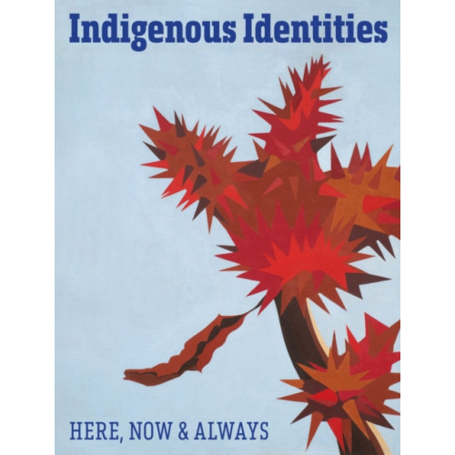 Hirmer Verlag Indigenous Identities (inbunden, eng)