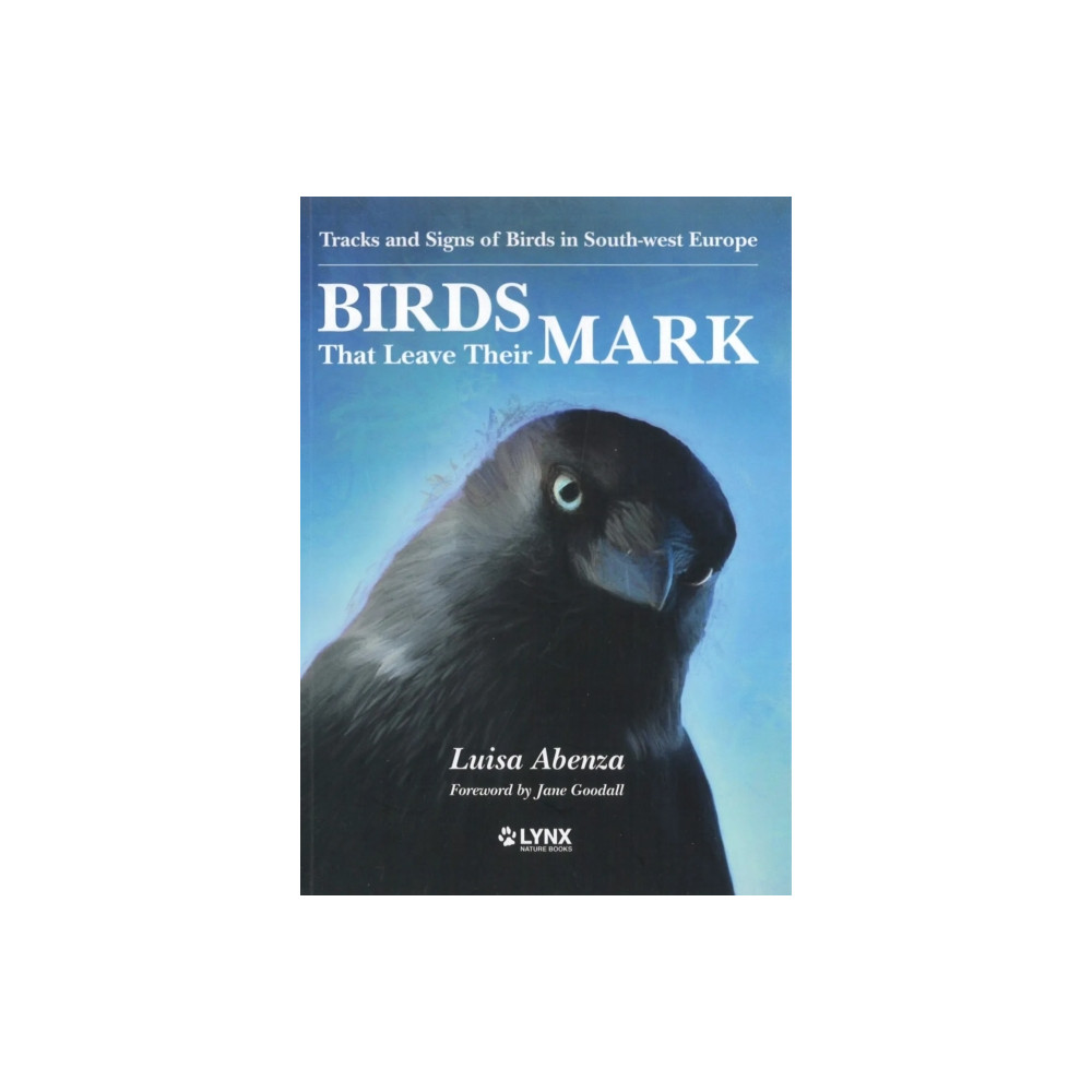 Produktbild för Birds That Leave Their Mark. Tracks and Signs of Birds in South-west Europe (häftad, eng)