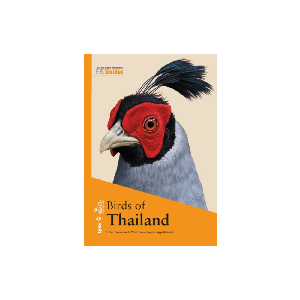 Produktbild för Birds of Thailand (häftad, eng)