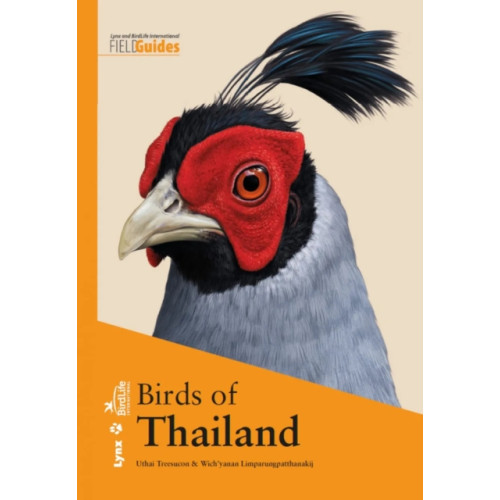 Alada Books, S.L. Birds of Thailand (häftad, eng)